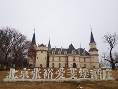 -北京张裕爱斐堡酒庄