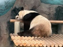 -苏州太湖国家湿地公园