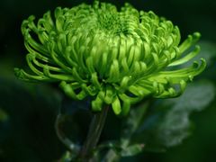 -汇龙潭