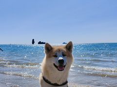 -碣石国家级海洋公园