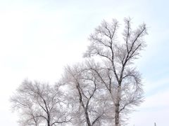 -雾凇岛