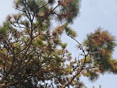 -长春市南湖公园