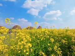 -中国天府农业博览园