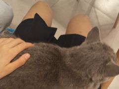 -三花喵·撸猫购宠·宠物生活馆(虹桥南丰城店)