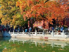-香山公园
