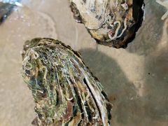 -崖口红树林海鲜餐厅