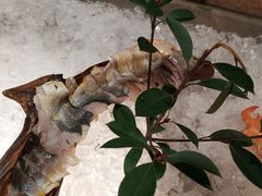 -鲤鱼洲酒店港鲤咖啡厅