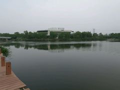 -九里河湿地公园