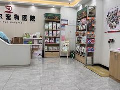 -艾贝尔宠物医院·24H转诊中心·肿瘤猫专科(江宁双龙店)