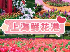 -上海鲜花港