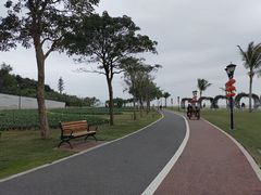 -野狸岛