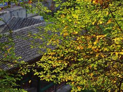 -颐和园