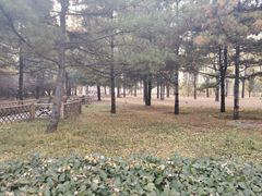 -森林公园(尖草坪区)