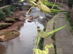 iphone_upload_pic-雅安上里古镇