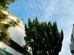 -八珍手工水饺·妈妈的爱(传芳巷店)