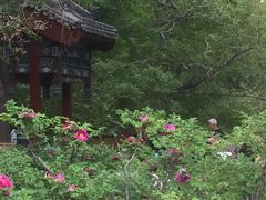 -迎泽公园