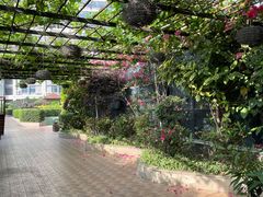 -万佳国际酒店-阳光空中西餐厅(石狮服装城店)