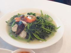 西洋菜-海湾壹品·粤菜·早茶·烤鸭(拱北店)