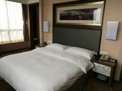 -淮安曙光国际大酒店(大运河广场花街店)