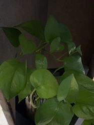 -香秀空间科技抗衰·美容中心