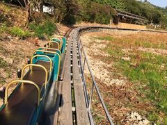 -红山村