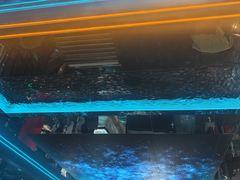 -屋有岛沉浸游戏旗舰店(中山公园店)