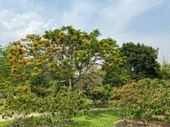 -中国科学院西双版纳热带植物园