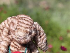 -鄂尔多斯野生动物园