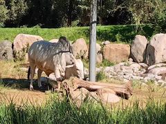 -北京野生动物园