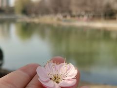 -白塘生态植物园