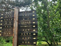 -金龙寺国家森林公园