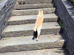 -广州市帽峰山景区