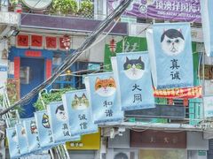 -猫咪博物馆(顶澳仔猫街店)