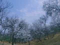 -北京宽沟会议中心