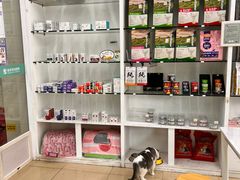 -瑞派动物医院·猫专科·至诚(江南中分院)