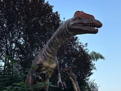 -青岛方特梦幻王国