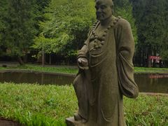 -武陵山森林公园