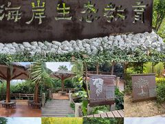 -中澳友谊花园