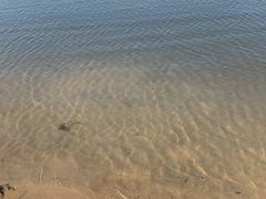 -呼兰河口湿地公园