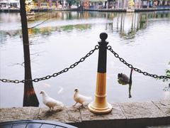 -茵特拉根酒店·西餐厅