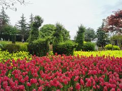 -铁山坪森林公园