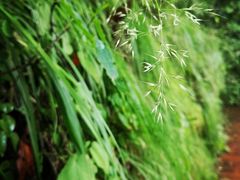 -塔云山