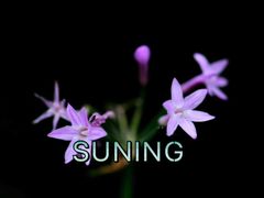 -苏州河梦清园环保主题公园