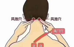 -姜美堂·蒸姜除湿の纤体美颜馆
