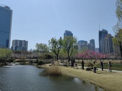 -西北湖绿化广场