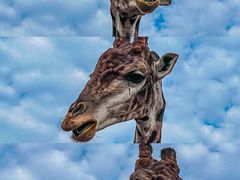 -济南野生动物世界