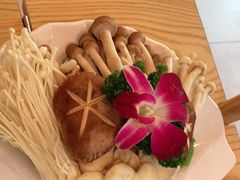 -淼福猪肚鸡·椰子鸡火锅(大沙地店)