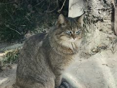-青藏高原野生动物园
