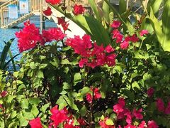 -亚马逊丛林水乐园