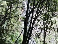 -石台牯牛降景区